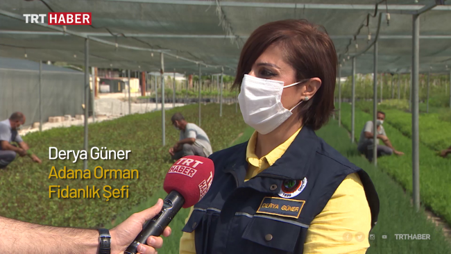 Adana'da her yıl 7 milyon fidan üretiliyor